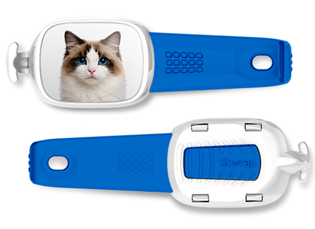 Ragdoll Cat Stwrap