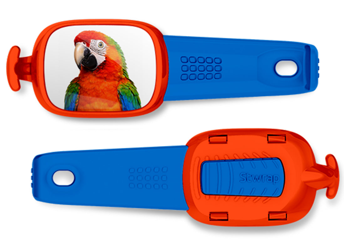Scarlet Macaw Stwrap