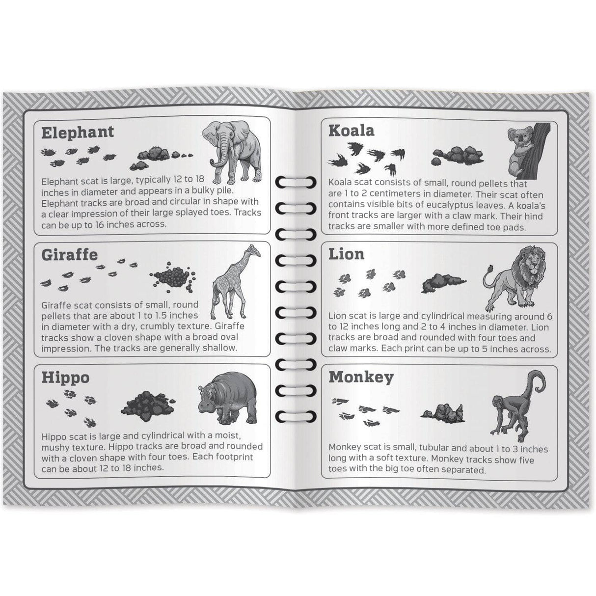 Jr. Zookeeper Poop Tracks Card Game