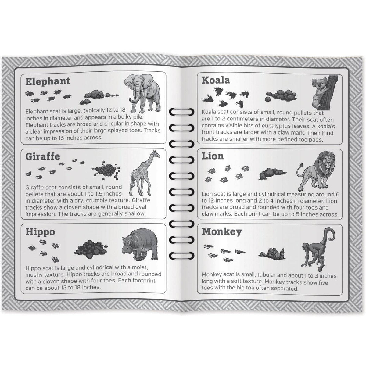 Jr. Zookeeper Poop Tracks Card Game