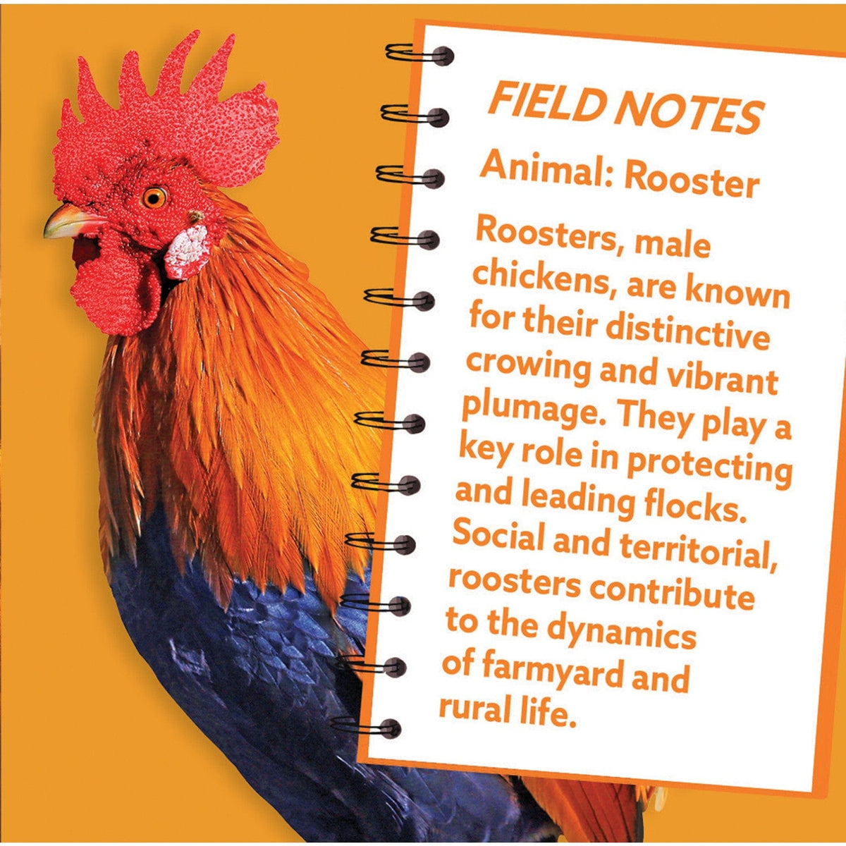 Rooster 100 Piece Shaped Jigsaw Puzzle