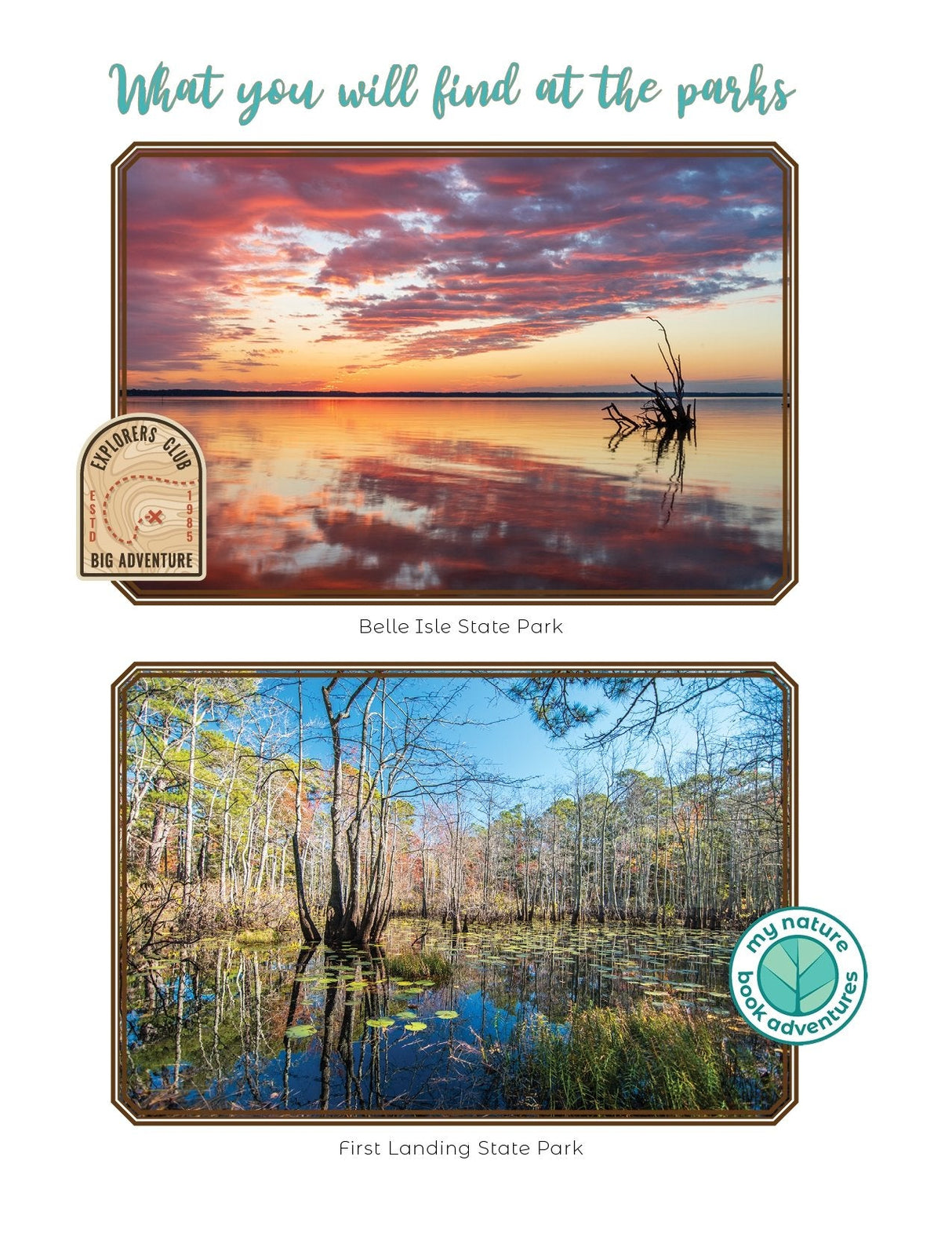 Virginia State Parks & Forests - Adventure Planning Journal