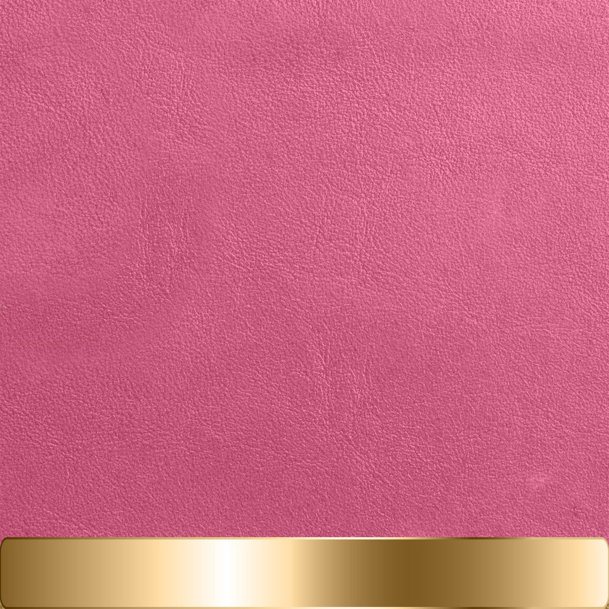 The Chapstick Holder