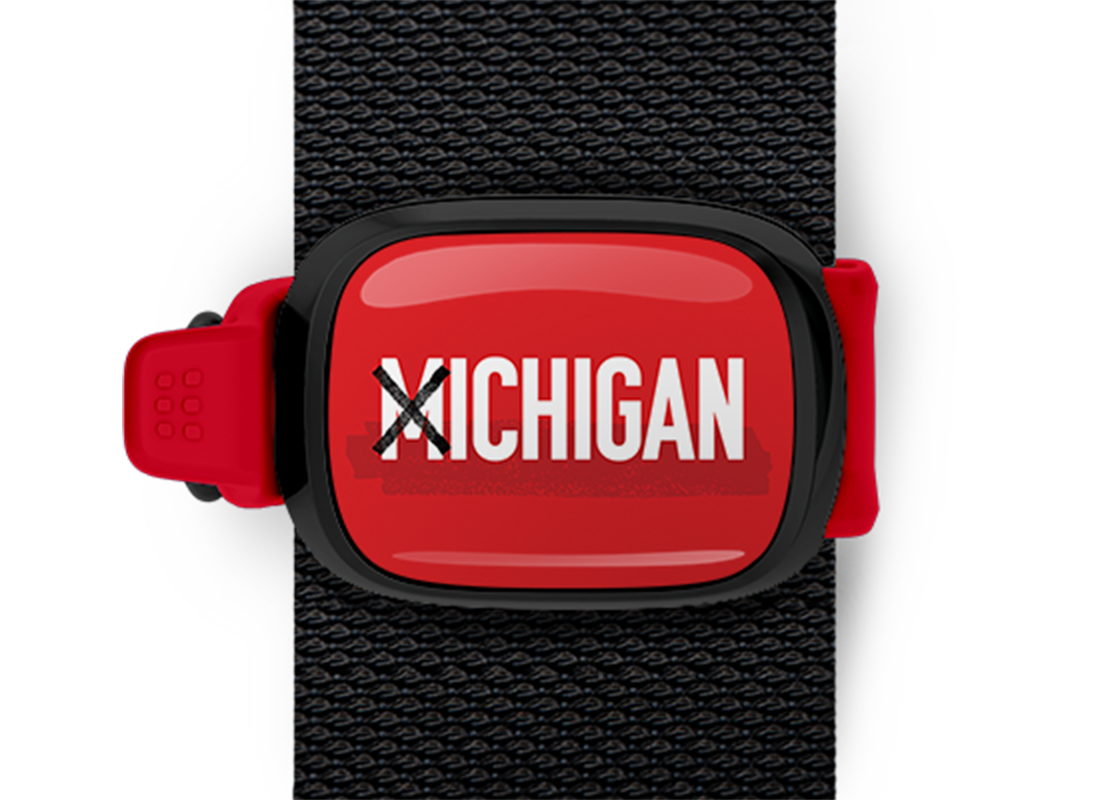 X Ichigan Stwrap
