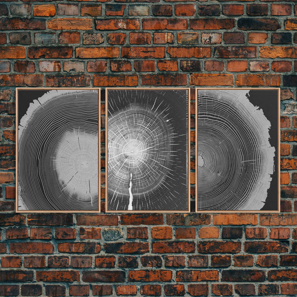 Tree Ring Prints, Lake House Large Wall Art, Boho Art, Minimalist, Farmhouse Art