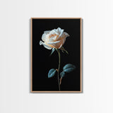 Still Life Photograph of a White Rose, Framed Canvas Print, Rose Painting, Rose Decor, Rose Wall Art, Mother's Day Gift Idea, Flower Wall Art