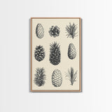Christmas Pine Cones Canvas Print - Framed Canvas - Minimalist Christmas Art - Boho Christmas Art - Rustic Christmas Art - Pinecone Painting