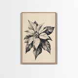 Poinsetta Canvas Print - Framed Canvas - Minimalist Christmas Art - Boho Christmas Art - Rustic Christmas Art