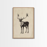 Reindeer Canvas Print - Framed Canvas - Minimalist Christmas Art - Boho Christmas Art - Rustic Christmas Art