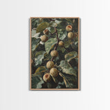Fig Painting Print - Framed Canvas - Fig Oil Painting, Fig Painting, Kitchen Decor, Rustic Farmhouse, Minimalist Home Decor