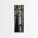 Birch Tree Forest Framed Canvas Print Rustic Wabi Sabi Woodland Art Minimalist Bedroom or Living Room Fall Wall Art Decor