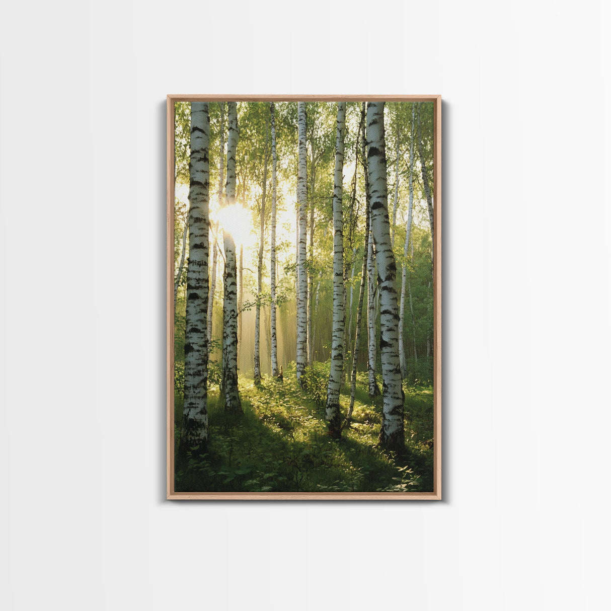 Morning Sunlight Birch Tree Art Canvas Print Natural Landscape Gift Rustic Farmhouse Vertical Artwork Home Decor Above Bed