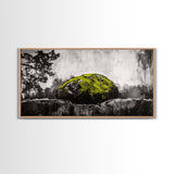 Mossy Rock, Abstract Nature, Green and Black Art, Canvas Print, Rustic Wall Decor, Boho Artwork, Modern Farmhouse Decor