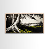 Forest Tree, Ocean View, Coastal Landscape, Canvas Print, Nature Wall Art, Black and White Art, Cabin Wall Decor, Rustic Wall Art