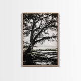 Tree Silhouette, Black White Art, Canvas Print, Dramatic Landscape, Coastal Wall Art, Nature Scene, Monochrome Decor, Minimalist Art