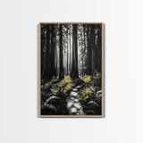 Redwood Forest, Tall Trees, Nature Path, Canvas Print, Moody Wall Art, Black and White Painting, Rustic Home Decor, Cabin Artwork