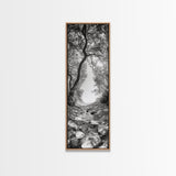 Forest Path, Rock Creek, Canopy Light, Calm Nature Scene, Canvas Print, Entryway Wall Art, Tranquil Minimalist Landscape Print