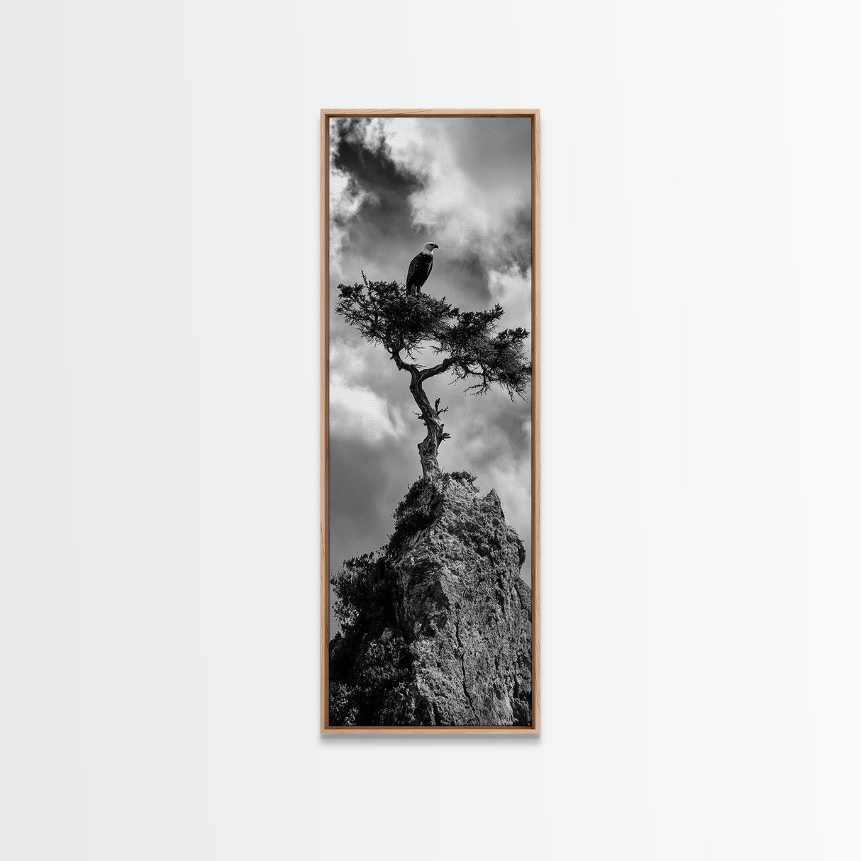 Eagle Tree, Cliff Perch, Bold Wildlife, Adventure Decor, Framed Canvas Print, Rustic Cabin Wall Art, American Symbolic Art