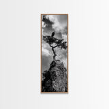 Eagle Tree, Cliff Perch, Bold Wildlife, Adventure Decor, Framed Canvas Print, Rustic Cabin Wall Art, American Symbolic Art