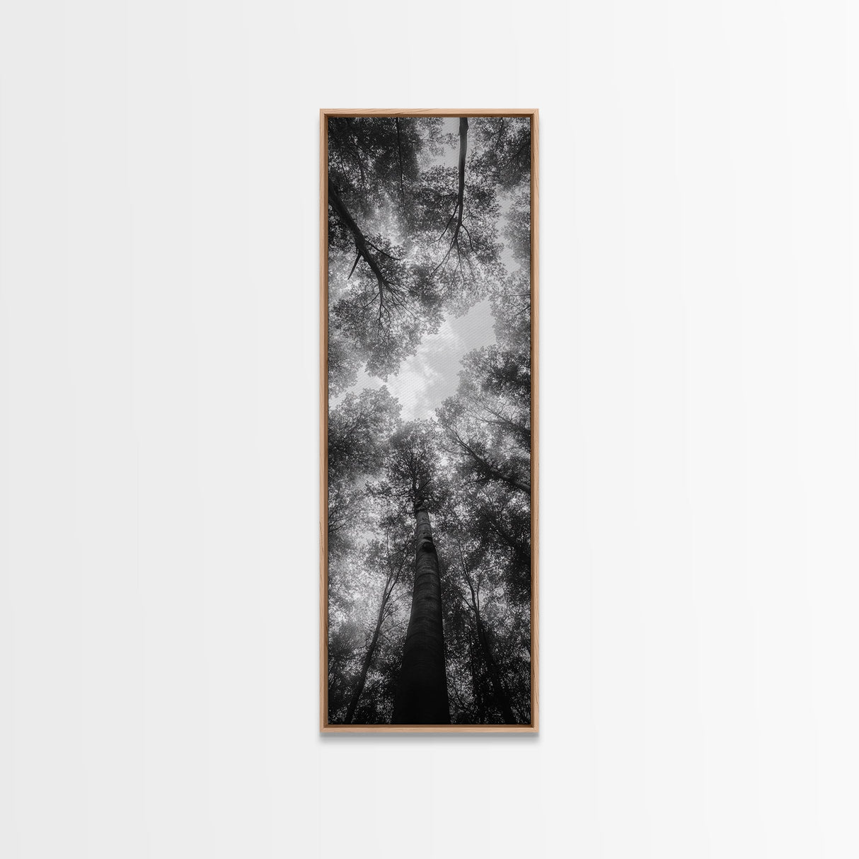 Forest Canopy, Nature Perspective, Tranquil Trees, Black and White, Framed Canvas Print, Cabin Wall Art, Scandinavian Decor, Minimalist Style