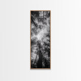 Forest Canopy, Nature Perspective, Tranquil Trees, Black and White, Framed Canvas Print, Cabin Wall Art, Scandinavian Decor, Minimalist Style