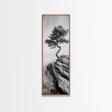 Lone Pine Tree, Minimal Nature, Tranquil Cliff Scene, Zen Forest Print, Framed Canvas Print, Japandi Wall Art, Entryway Tree Print, Nature Minimalism