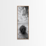 Beach Tumbleweed, Windy Dune, Coastal Drift, Seaside Simplicity, Monochrome Shoreline Framed Canvas Print, Bathroom Beach Wall Decor