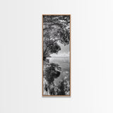 Mangrove Shoreline, Tree Reflections, Still Waters, Tranquil Escape, Black White Nature Framed Canvas Print, Zen Wall Art Entryway Decor