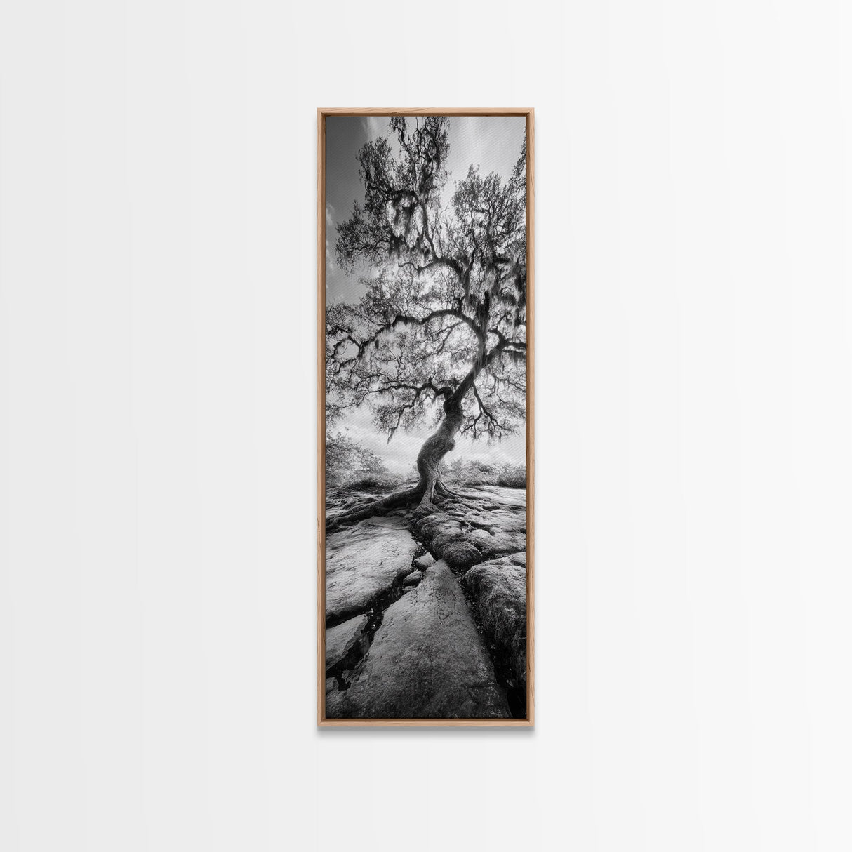 Wisdom Oak Tree, Forest Roots, Ancient Energy, Framed Canvas Print, Rustic Living Room Wall Art, Nature Inspired, Boho Woodland Art
