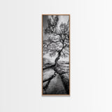 Wisdom Oak Tree, Forest Roots, Ancient Energy, Framed Canvas Print, Rustic Living Room Wall Art, Nature Inspired, Boho Woodland Art