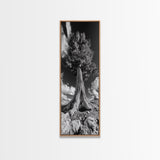 Majestic Tree, Nature Power, Earth Energy, Black White Art, Framed Canvas Print, Modern Rustic Decor, Cabin Wall Art, Tree Lover Gift