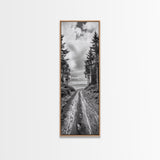 Coastal Forest Path, Nature Trail, Ocean View, Black and White, Framed Canvas Print, Entryway Wall Art, Rustic Decor, Landscape Photography