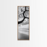 Ocean Tree View, Beach Horizon, Minimal Branches, Framed Canvas Print, Coastal Living Room Art, Neutral Decor, Zen Nature Photography