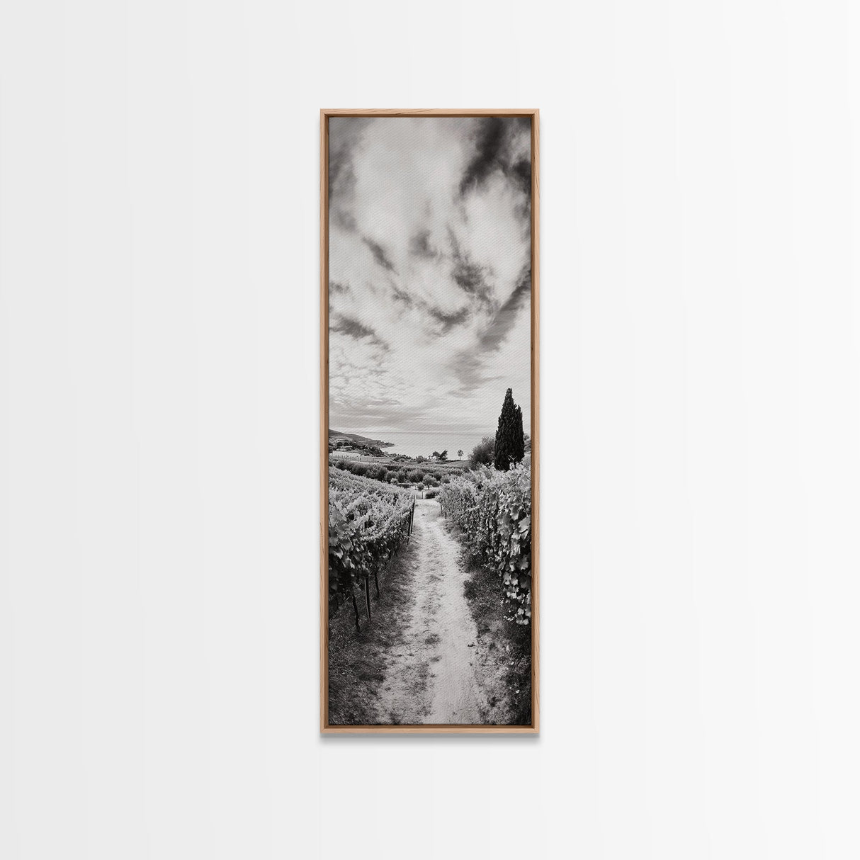 Vineyard Pathway, Scenic Hills, Countryside View, Rustic Charm, Framed Canvas Print, Farmhouse Kitchen Wall Art, Autumn Decor