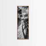 Beach Path, Palm Shadows, Coastal Walkway, Tropical Foliage, Canvas Print, Bathroom or Hallway Wall Art, Coastal Minimalist, Cozy Lodge Decor