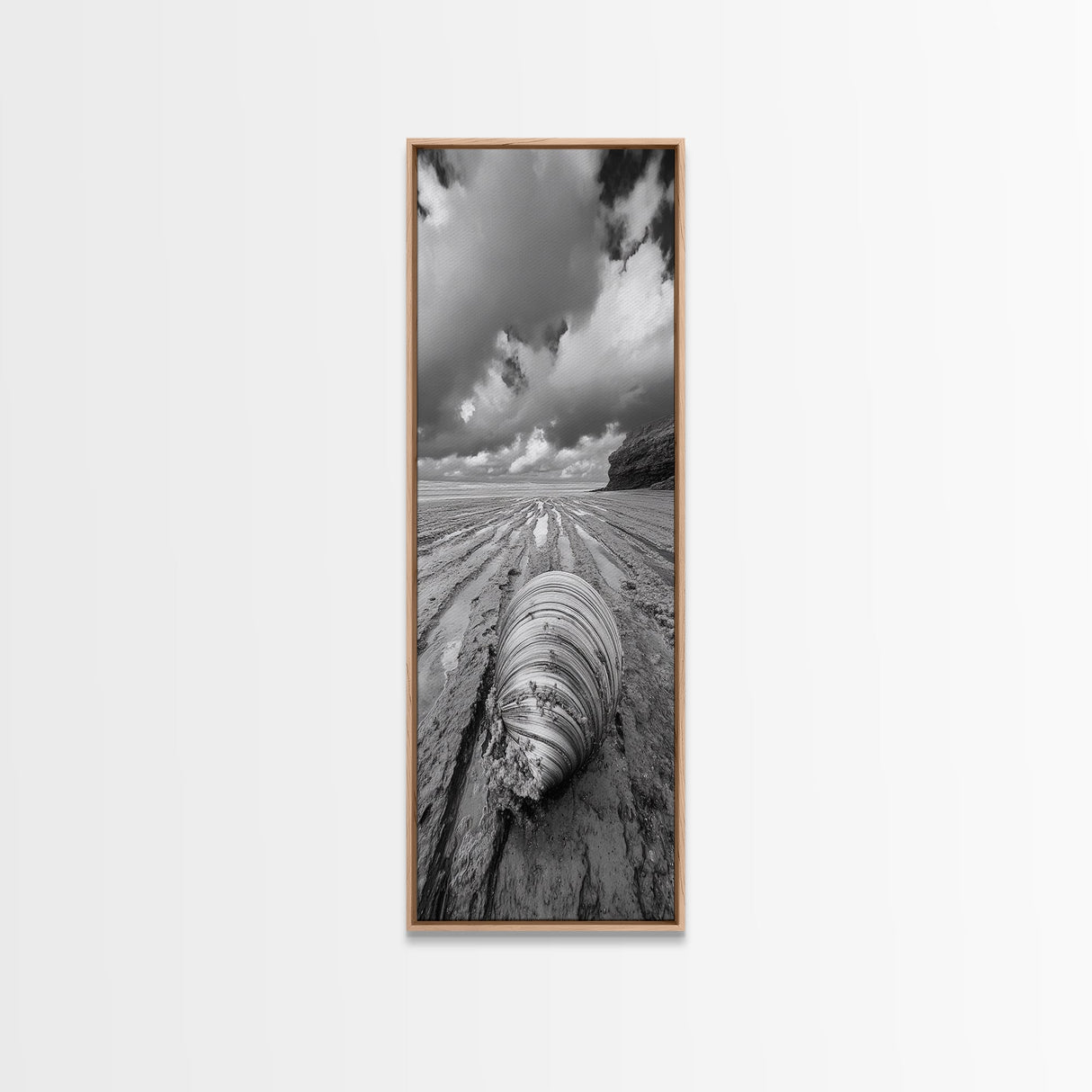 Ocean Clam, Moody Beach, Tidal Lines, Coastal Detail, Canvas Print, Nautical Bathroom Wall Art, Black and White Ocean Decor,  Den Wall Piece
