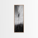 Solitary Grass Print, Minimalist Field Art, Tall Grass Photography, Rustic Bedroom Wall Decor, Framed Canvas Print, Fall Nature Vibe