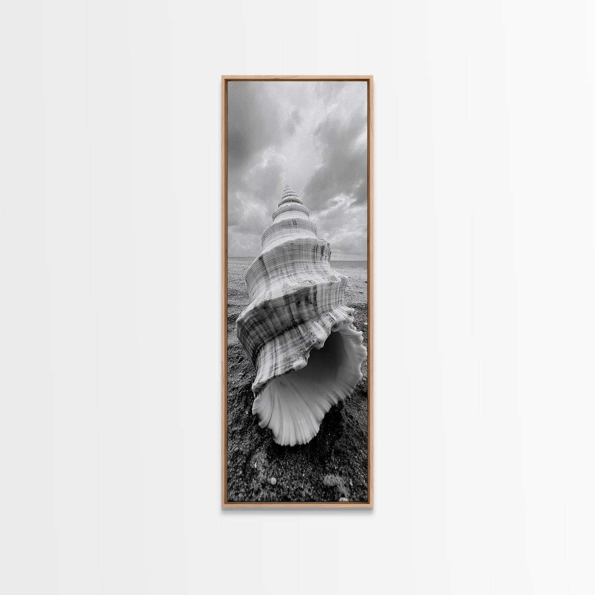 Shell Closeup, Ocean Texture, Natural Spiral, Minimalist Shell, Seashell Photography Framed Canvas Print, Coastal Kitchen Wall Art