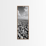 Shell Beach, Coastal Texture, Seashell Ground, Nature’s Bounty, Rustic Ocean Canvas Print, Neutral Kitchen Wall Art, Boho Coastal Style