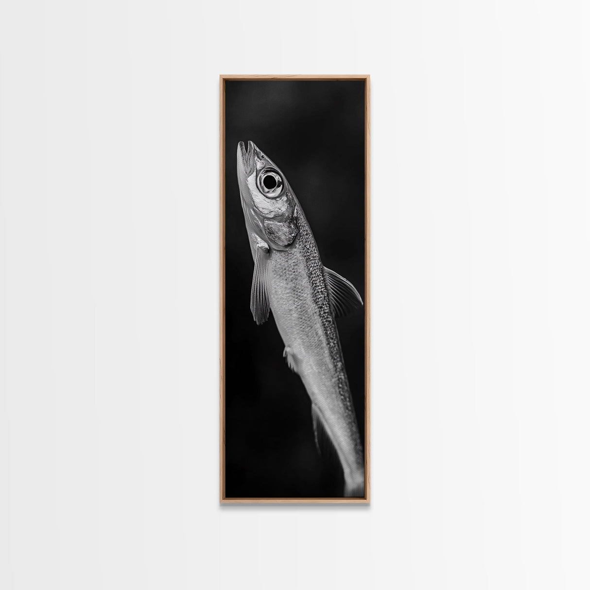 Silver Fish, Minimal Animal, Ocean Catch, Framed Canvas Print, Kitchen Wall Art, Nature Inspired Decor, Monochrome Sea Life