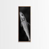 Silver Fish, Minimal Animal, Ocean Catch, Framed Canvas Print, Kitchen Wall Art, Nature Inspired Decor, Monochrome Sea Life