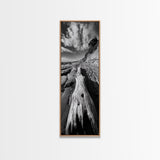 Driftwood Beach, Ocean Texture, Nature Scene, Canvas Print, Rustic Beach Decor, Coastal Wall Art, Bathroom Art, Moody Seaside Print