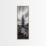 Lone Pine Tree, Forest Mood, Wilderness Art, Framed Canvas Print, Minimalist Wall Decor, Cabin Art, Neutral Fall Tones, Nature Lover Gift