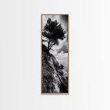 Cliff Tree, Coastal Roots, Dramatic Landscape, Framed Canvas Print, Bold Nature Wall Art, Modern Black And White Decor, Fall Office Accent