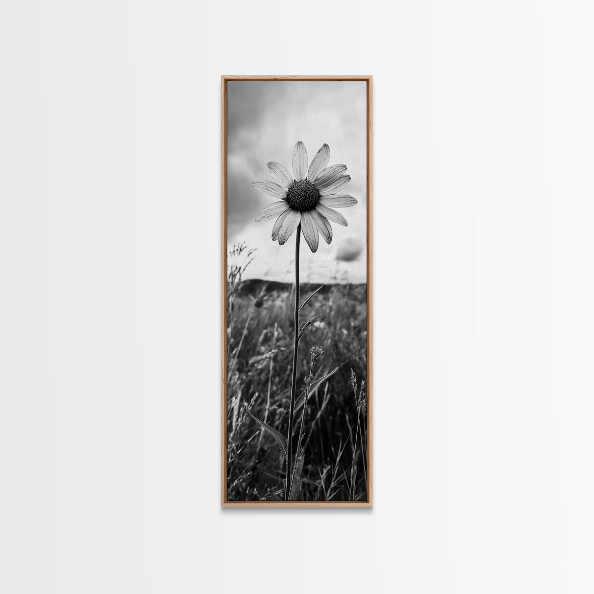 Single Daisy Bloom, Minimalist Botanical, Black White Flower, Framed Canvas Print, Nature Inspired Art, Bedroom Wall Decor, Modern Farmhouse