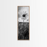 Single Daisy Bloom, Minimalist Botanical, Black White Flower, Framed Canvas Print, Nature Inspired Art, Bedroom Wall Decor, Modern Farmhouse