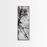 Serene Beach Tree, Calm Ocean Coast, Black White Shoreline, Framed Canvas Print, Coastal Entryway Decor, Minimal Nature Wall Art