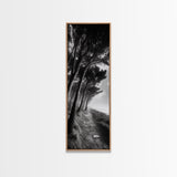 Windy Forest Trail, Dark Coastal Trees, Atmospheric Nature, Framed Canvas Print, Fall Living Room Wall Art, Moody Landscape Aesthetic