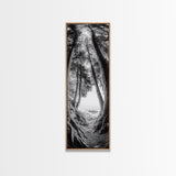 Forest Path, Ocean View, Tall Trees, Canvas Print, Black and White Nature Art, Entryway Wall Art, Rustic Woodland Aesthetic, Bedroom Wall Art