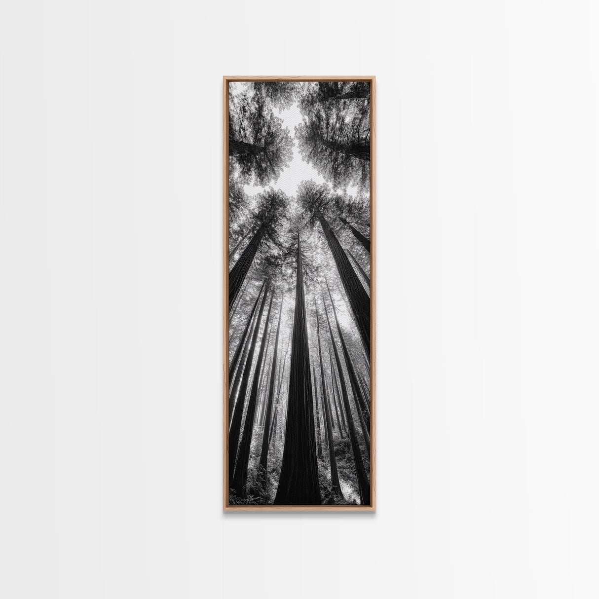 Redwood Forest, Sunlight Trees, Nature Canopy, Canvas Print, Serene Woodland Art, Cabin Wall Decor, Black and White Forest Art, Bedroom Wall Art